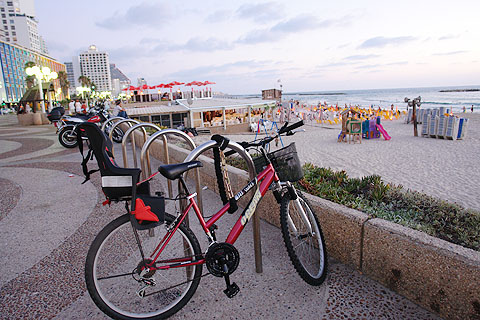 bikes