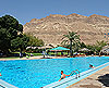 Ein Gedi Hotel Pool